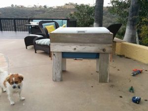 12642664_10153150995002132_3302308327925626376_n