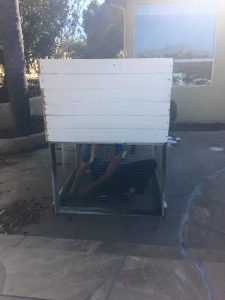 12742726_10207097485669010_6866354244042669741_n