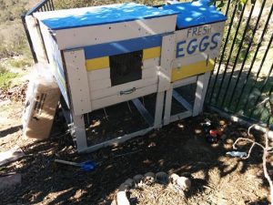 12743779_10153190325132132_5601430437093549947_n