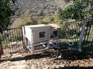 12744408_10153186843562132_6738058946971148499_n