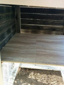 12744716_10153184743917132_2104868035412489848_n