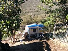 1935077_10153190325232132_9016415446409568398_n